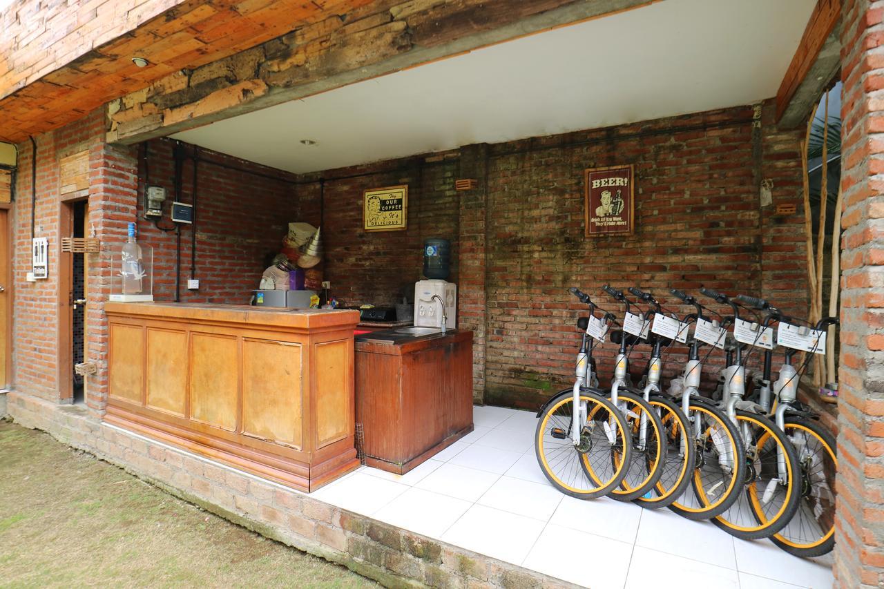 Pondok Jempiring Kuta Lombok Exteriér fotografie